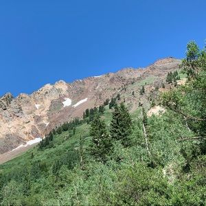 Meet your Posher, Tina